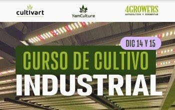 Curso Industrial Cultivart, Yam Culture & 4Growers