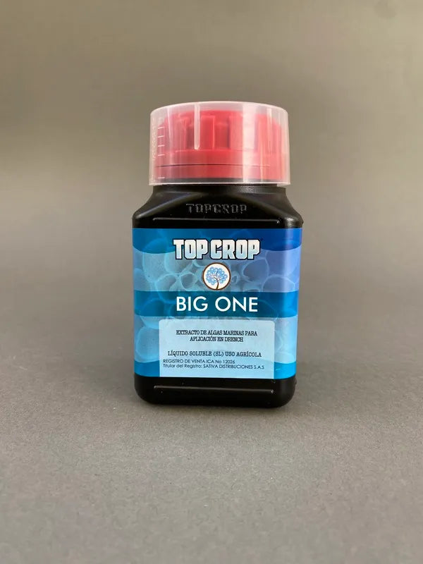 Fertilizante Big One Top Crop 250ml