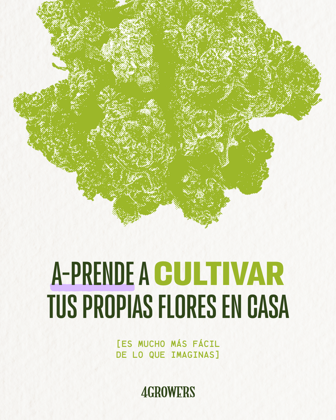 Guía de Autocultivo de Cannabis – De la Semilla a la Flor │