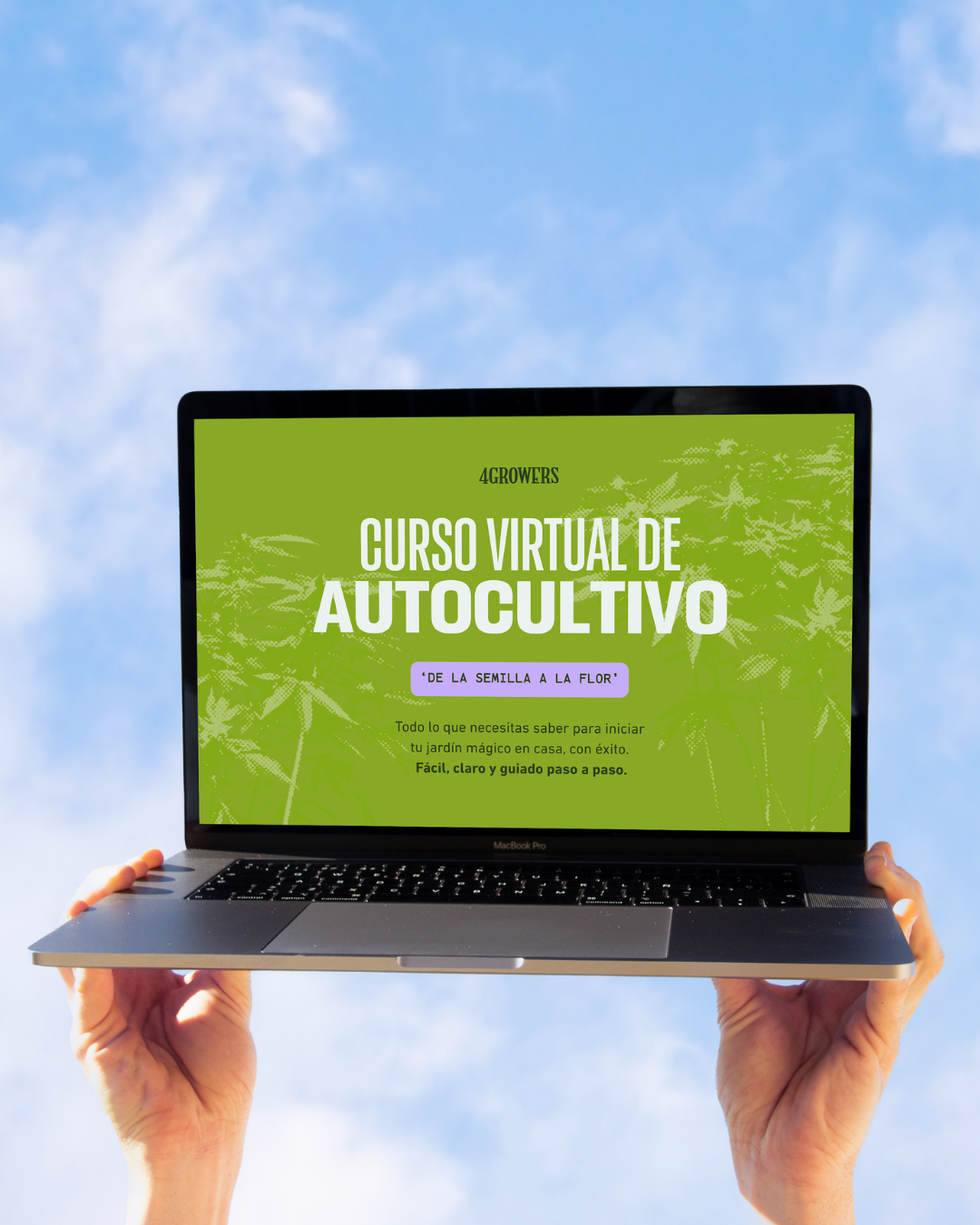 Guía de Autocultivo de Cannabis – De la Semilla a la Flor │