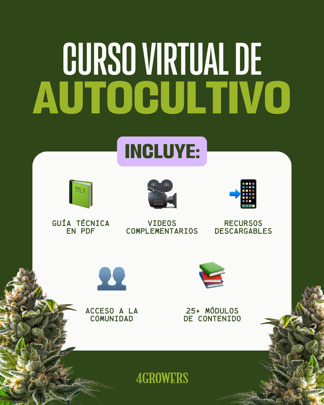 Guía de Autocultivo de Cannabis – De la Semilla a la Flor │