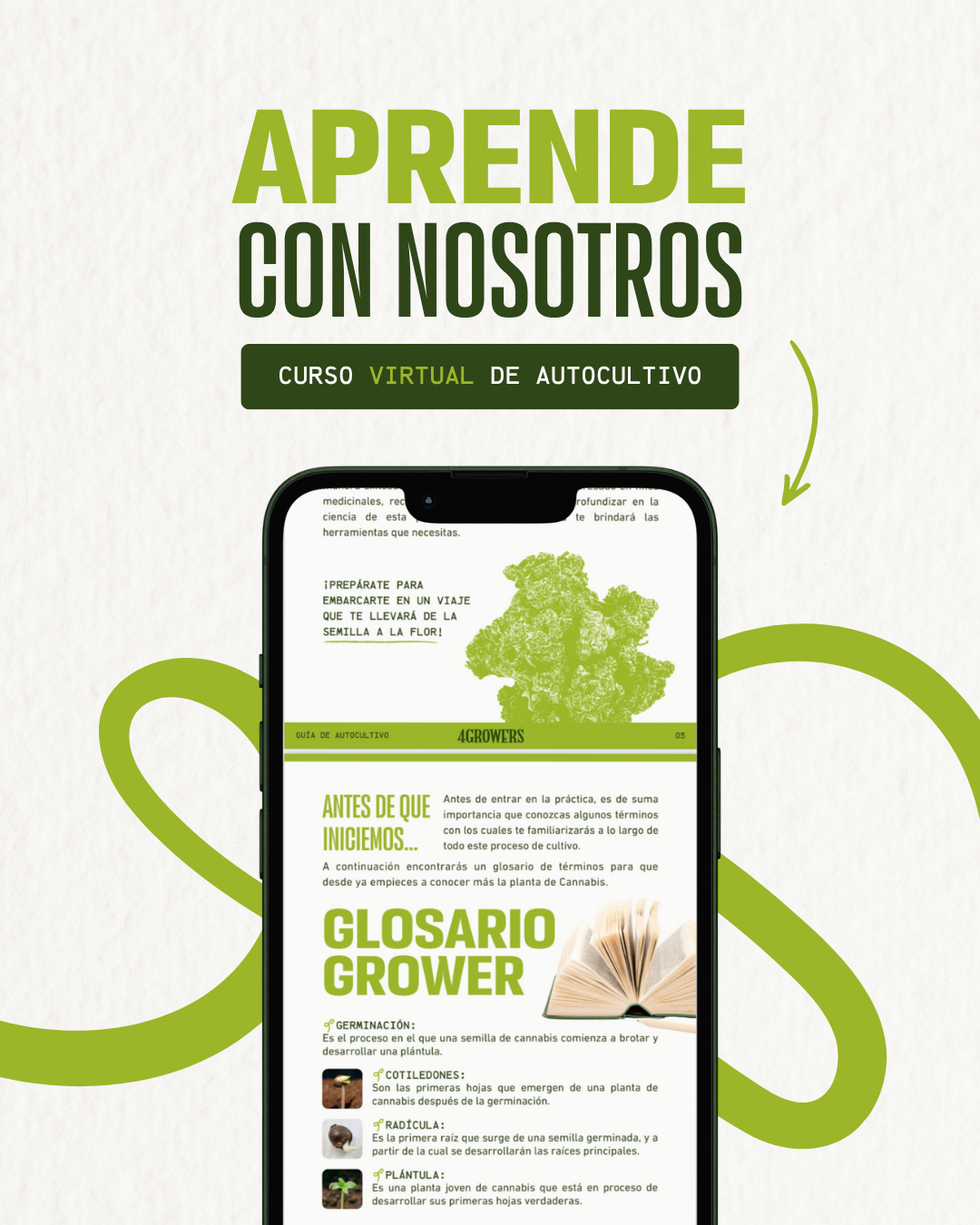 Guía de Autocultivo de Cannabis – De la Semilla a la Flor │