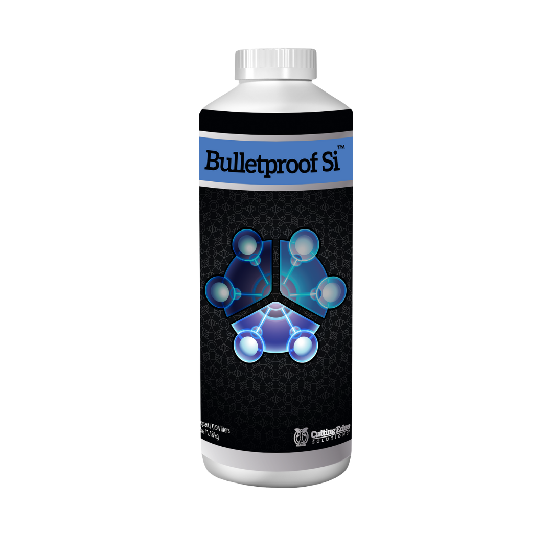 Bulletproof Si 1 Litro